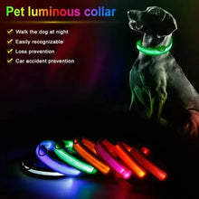Nylon GlowStride Adjustable Dog Collar, product photo 6 of 8