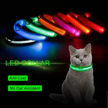 Nylon GlowStride Adjustable Dog Collar, product photo 7 of 8
