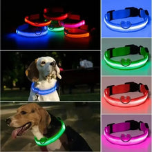 Nylon GlowStride Adjustable Dog Collar, product photo 8 of 8