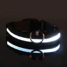 Nylon GlowStride Adjustable Dog Collar in Black