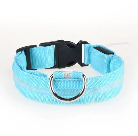 Nylon GlowStride Adjustable Dog Collar in Blue