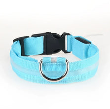 Nylon GlowStride Adjustable Dog Collar in Blue