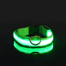 Nylon GlowStride Adjustable Dog Collar in Green