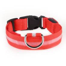 Nylon GlowStride Adjustable Dog Collar in Red