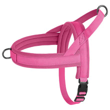 Alternate view of the Nylon Padded Dog & Cat Harness Vest