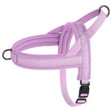Nylon Padded Dog & Cat Harness Vest, product photo 5 of 8
