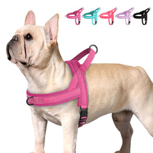 Nylon Padded Dog & Cat Harness Vest, product photo 6 of 8