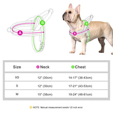 Nylon Padded Dog & Cat Harness Vest, product photo 8 of 8