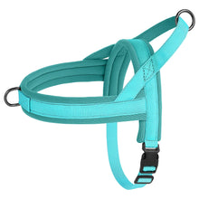 Nylon Padded Dog & Cat Harness Vest in Blue