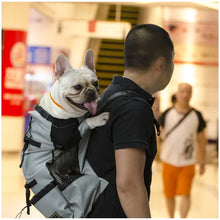 Outdoor Pet Carrier in Black