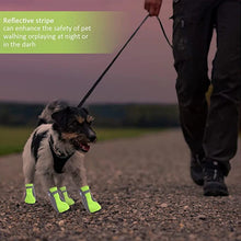 Outdoor Walking Summer Pet Shoes, product photo 6 of 10