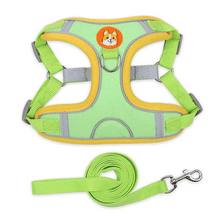Padded Harness Leash Set for Dogs, product photo 6 of 9