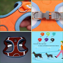 Padded Harness Leash Set for Dogs, product photo 8 of 9