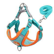 Padded Harness Leash Set for Dogs in Blue