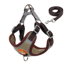 Padded Harness Leash Set for Dogs in Brown