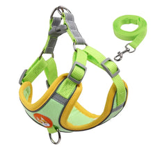 Padded Harness Leash Set for Dogs in Green