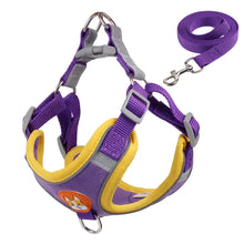 Padded Harness Leash Set for Dogs in Purple