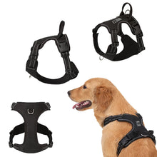 Alternate view of the Personalised Dog Harness Padded