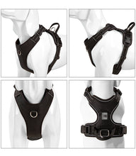 Personalised Dog Harness Padded, product photo 3 of 5