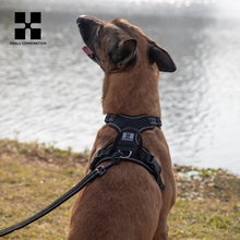 Personalised Dog Harness Padded, product photo 4 of 5