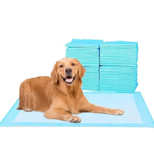 Pet Absorbent Pads Disposable Nappies, product photo 3 of 10