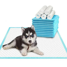 Pet Absorbent Pads Disposable Nappies, product photo 4 of 10