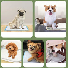 Pet Absorbent Pads Disposable Nappies, product photo 8 of 10