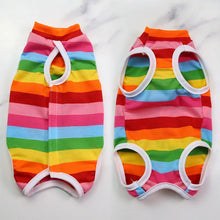 Pet Anti-Lick Recovery Suit, product photo 11 of 12