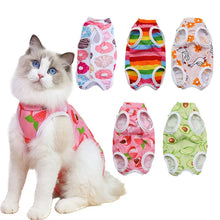 Alternate view of the Pet Anti-Lick Recovery Suit