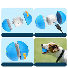 Pet Automatic Toy Ball with RGB Lights, product photo 18 of 18