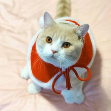 Pet Christmas Costume, product photo 4 of 7