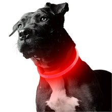 Pet Dog LED Light Collar