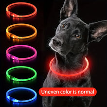 Alternate view of the Pet Dog LED Light Collar