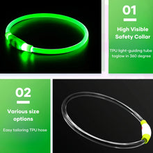 Pet Dog LED Light Collar, product photo 4 of 9