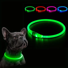 Pet Dog LED Light Collar, product photo 6 of 9
