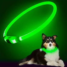Pet Dog LED Light Collar, product photo 7 of 9