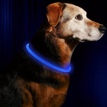 Pet Dog LED Light Collar, product photo 8 of 9