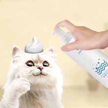 Pet Dry Cleaning Foam Shampoo, product photo 3 of 7