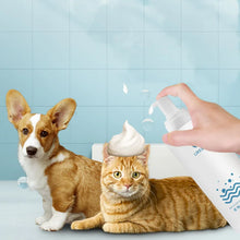 Pet Dry Cleaning Foam Shampoo, product photo 4 of 7