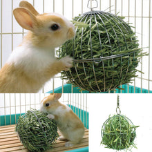 Alternate view of the Pet Exercise Hanging Hay Ball