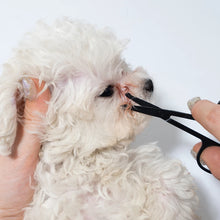 Pet Facial Cleaning Comb, product photo 5 of 15