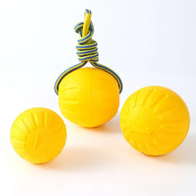 Alternate view of the Pet Floating Training Pull Ball