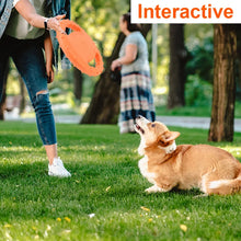 corgi dog enjoying disc toy