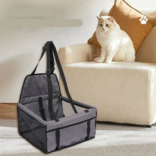 Pet Foldable Travel Mesh Bag, product photo 10 of 11