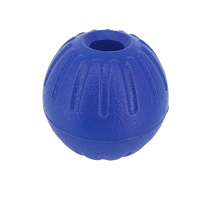 Pet Hollow Ball in Blue