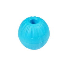 Pet Hollow Ball in Light blue