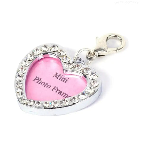 Pet ID Tag