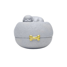 Pet Inspired Cremation Urn