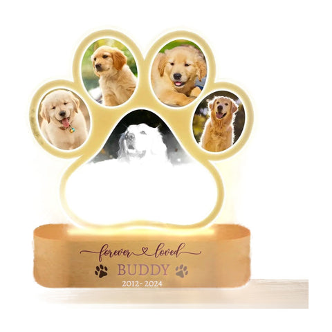 Pet Memorial Night Light Photo on a white background