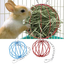 Alternate view of the Pet Metal Hanging Grass Ball